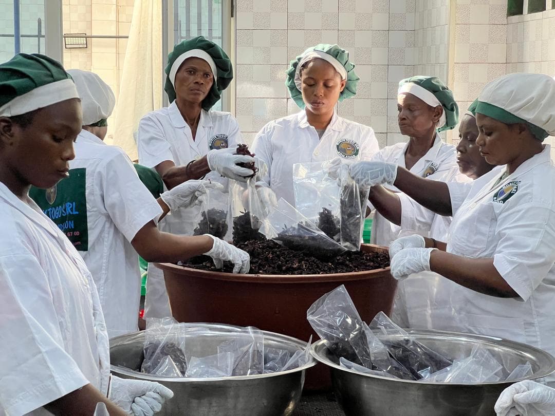 Producteurs partenaires au Togo